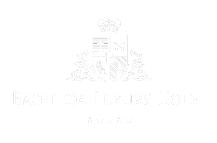 LOGO BAHLEDA BIAŁE BIAŁE