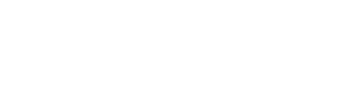 PROMOTRAFFIC LOGO BIAŁE