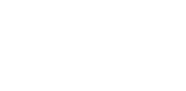 SFD LOGO BIAŁE
